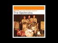 The SPOTNICKS                   