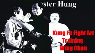 Kung Fu Fight Art Training Wing Chun