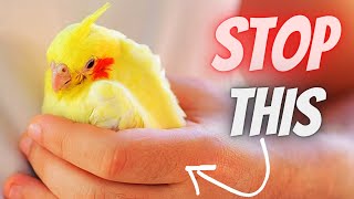 8 Common Mistakes That Bird Owners Make