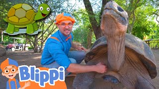 Blippi Visits a Zoo And Learns About Animals! | Educational s for Kids