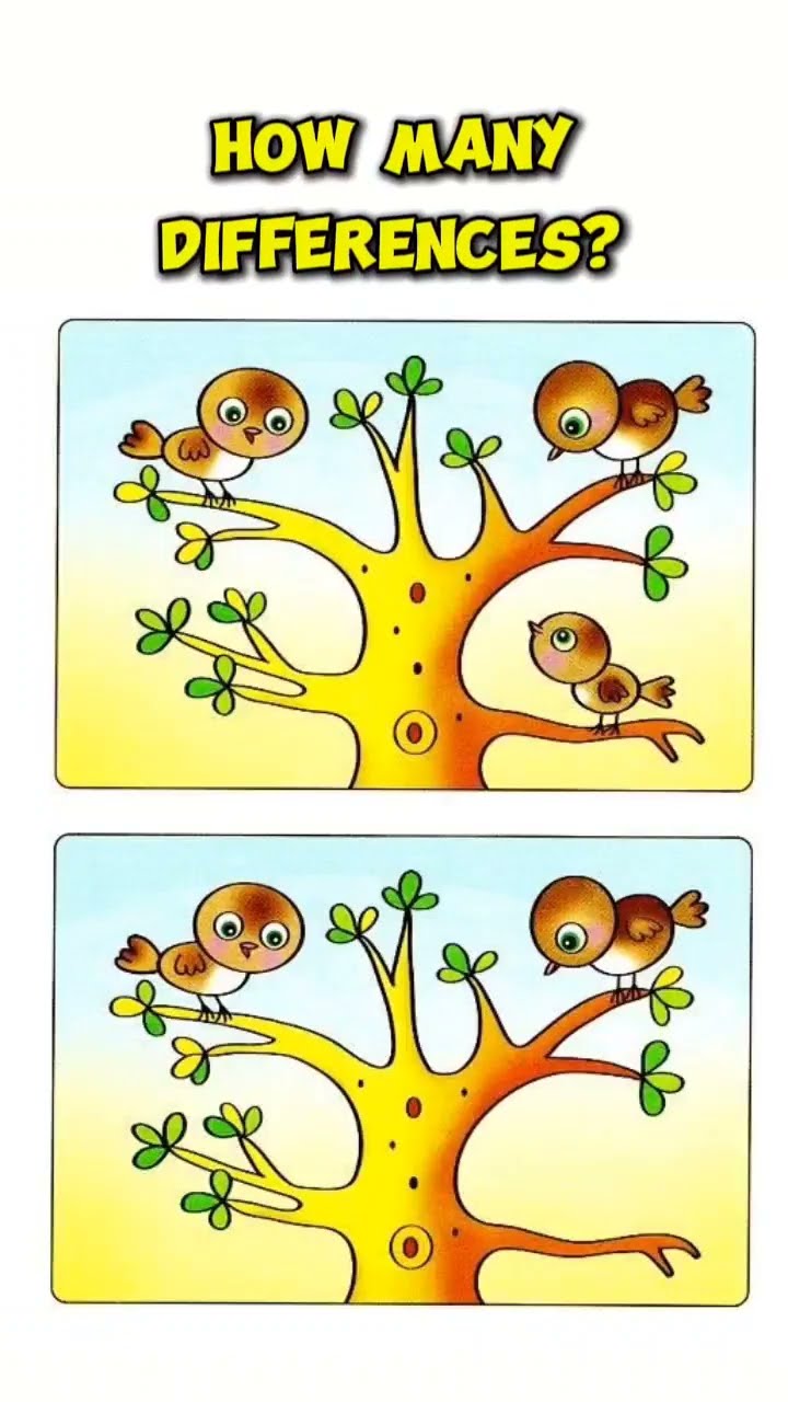 How Many Differences Can You Spot Riddle Puzzle Illusions Quiz
