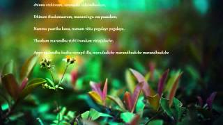 Nenjukule-Kadal Song - Own lyrics