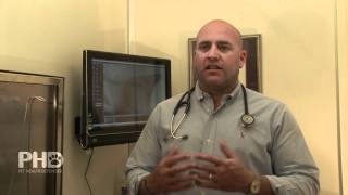 Dr. Gershon Alaluf, DVM on PHD