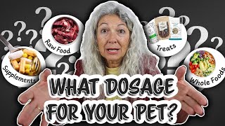 Veterinarian Talks Dosages for Pets (Supplements, Raw Food, Treats, Whole Foods, and more)