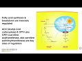 Quick overview of fatty acid metabolism