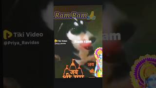 Ram Ram status ❤️ Dog ram voice orginal 😵 omg 😳 #viral #trending #ram #dog #shorts