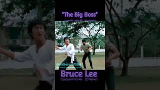 Bruce Lee #thebigboss  #martialarts #trendingyoutubeshorts  #brucelee #viralytshorts