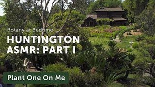 Botanical ASMR at The Huntington's Japanese Garden — Ep 174