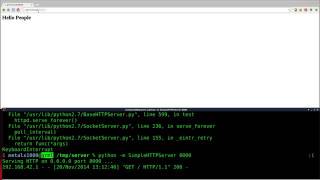 Setup a Webserver with Python Linux Tutorials clip16