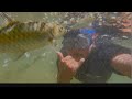 SWIMMING WITH FISHES -JADESIL FISH SANCTUARY