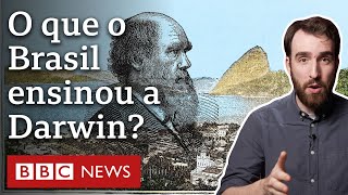 Darwin: como viagem ao Brasil influenciou a Teoria da Evolução