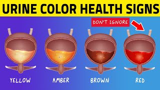 What The COLOR Of Your URINE Says About Your Health!