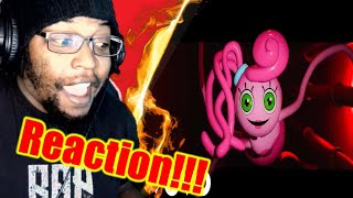 "Fly in the Web" - A Poppy Playtime Chapter 2 Song | by ChewieCatt / DB Reaction