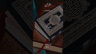 translation,transliteration,recitation,quran,religion,al-baqara (religious text),koran