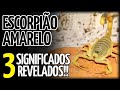 🚨ALERTA🚨 O QUE SIGNIFICA SONHAR COM ESCORPIÃO AMARELO. SIGNIFICADO DE SONHAR COM ESCORPIÃO AMARELO