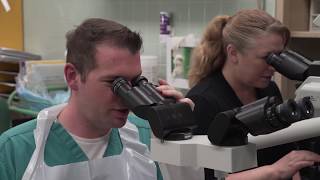 Hear From Pathologists' Assistant Students