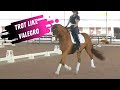 How To Ride The Extended Trot Like Valegro With Robert Dover