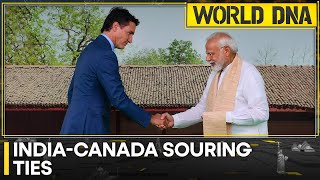 India-Canada row: India alleges separatists been provided shelter in Canada | World DNA