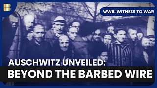 Auschwitz Horror Revealed - WWII: Witness to War - S01 EP11 - History Documentary