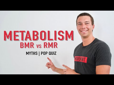 What is your lowest metabolic rate called?