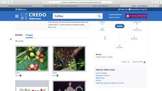 CREDO Reference SP2020 Demo