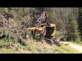 Tigercat LX830C Feller Buncher