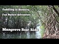 Boating into the Mangrove River