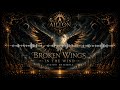 Broken Wings in The Wind