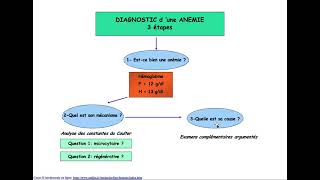 #Hemato | 01.CAT devant une anémie avec révision du chapitre GR (Dr.Abbadi)