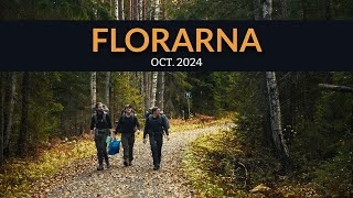 Florarna, Oct. 2024