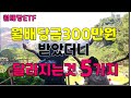 월배당ETF 매월배당금300만원 받으면 달라지는것 5가지  | 배당투자방법