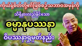 ရုပ်နည်တို့၏ဖြစ်စဉ်သဘာဝအမှန်ကိုနားလည်နိုင်သောဓမ္မာနုပဿနာဝိပဿနာရှုမှတ်နည်းတရားတော်