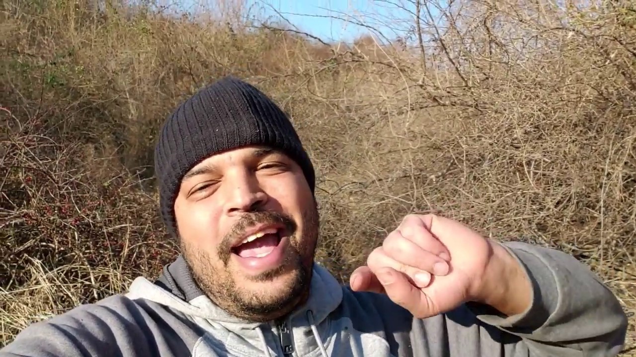 Property Tour Youtube