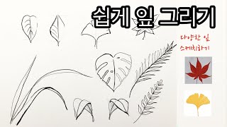 쉽게 잎 그리기/ 초보자를 위한 쉽게 잎 스케치하는 방법 /쉽게 잎사귀그리기/  잎 잘 그리기 /How to draw leaves