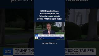 NEC Director Kevin Hassett: Imports are failing because people prefer American products