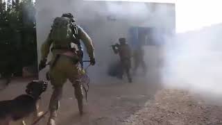 Agilite IDF-The Units: Oketz