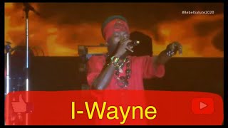 I-Wayne - Rebel Salute 2020 [Live Performance]