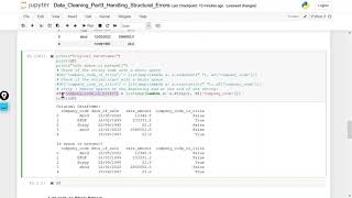 Handling Structural Error using Python | Data Cleaning Tutorial 3