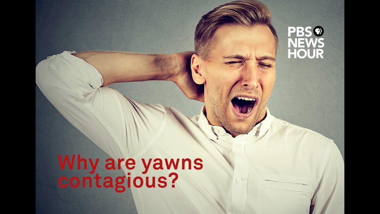 Why Are Yawns Contagious? We Asked A Scientist - YouTube