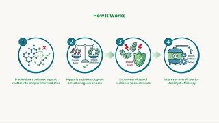 Anaerobic Bioculture for Wastewater Treatment | Boost Biogas & Reactor Performance | BactaServe
