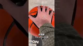 NBA Players Size Comparison Shaq's Hands are Huge