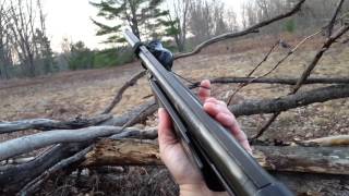 2016 Spring Turkey hunt. Bombshell turkey call review