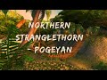 Kal's Taming Logs 1 | Northern Stranglethorn | Pogeyan