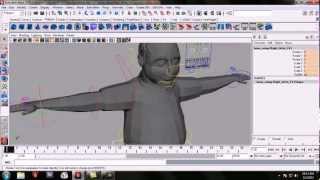 human biped rigging.avi