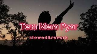Tera Mera Pyar | Rahul Jain | Lofi Music | [Slowed & Reverb]