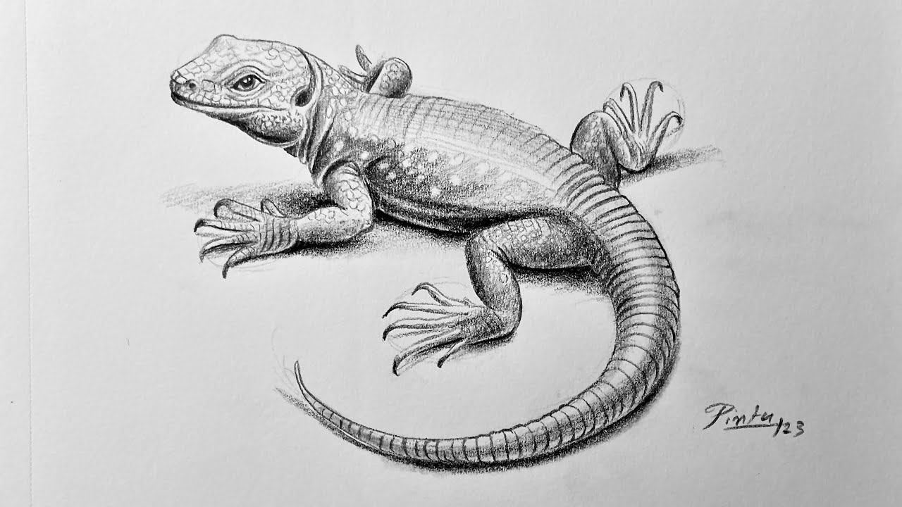 Realistic Lizard Drawing Neon Gecko Art Print By Salmoneggs Pixels
