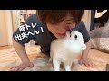 飼い主の筋トレを邪魔してくるポメラニアンの子犬。