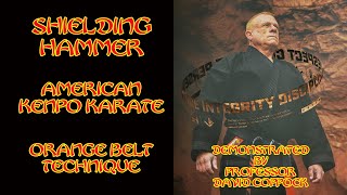 Shielding Hammer American Kenpo Karate