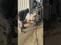 CONCRETE JOINT CUTTING