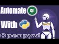 How to Automate Excel Work with Python using openpyxl | Learnerea